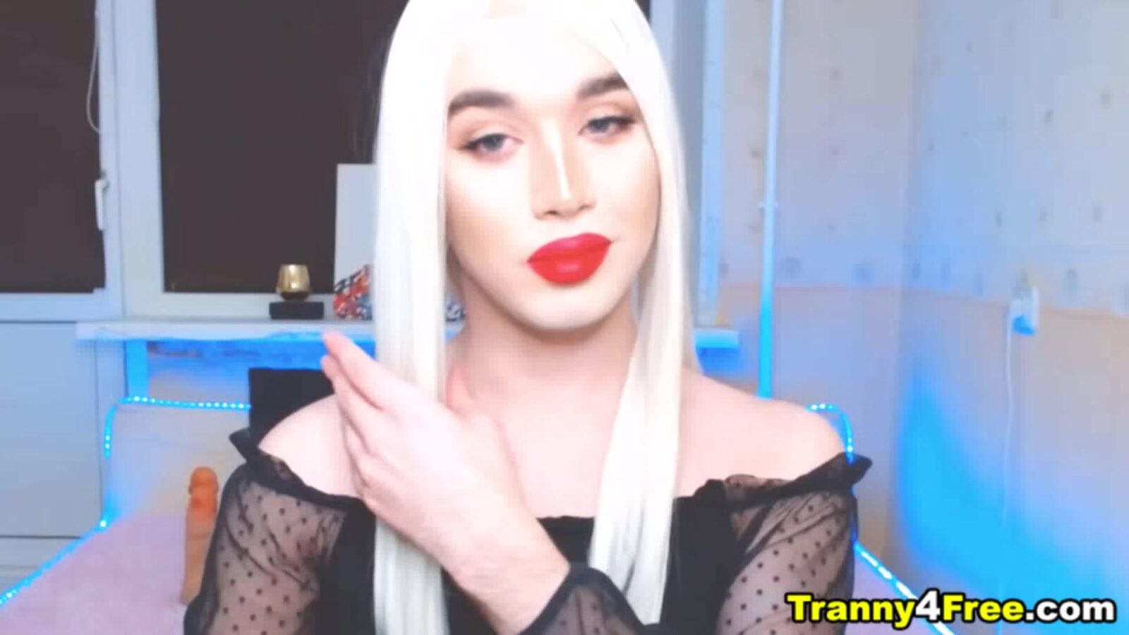 Wonder Shemale Small Tits Huge Cock