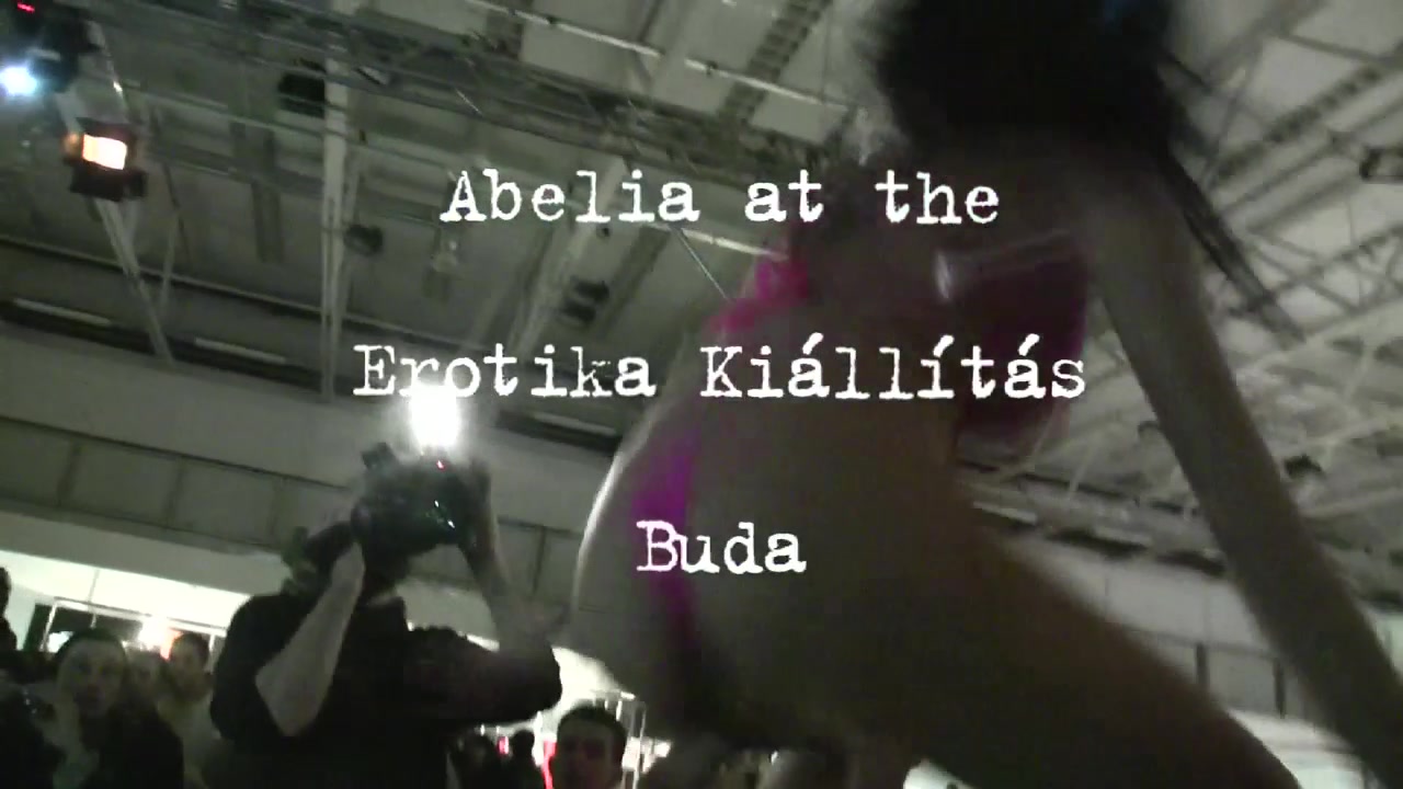 Abelia, Budapest 2010