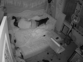 voyeurcam hazelgrace 02 nude sex chat in adult Live Sex Chat Room