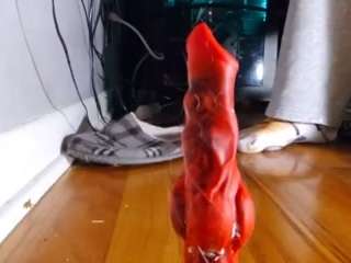 EdgeWuff nude sex chat in adult Live Sex Chat Room